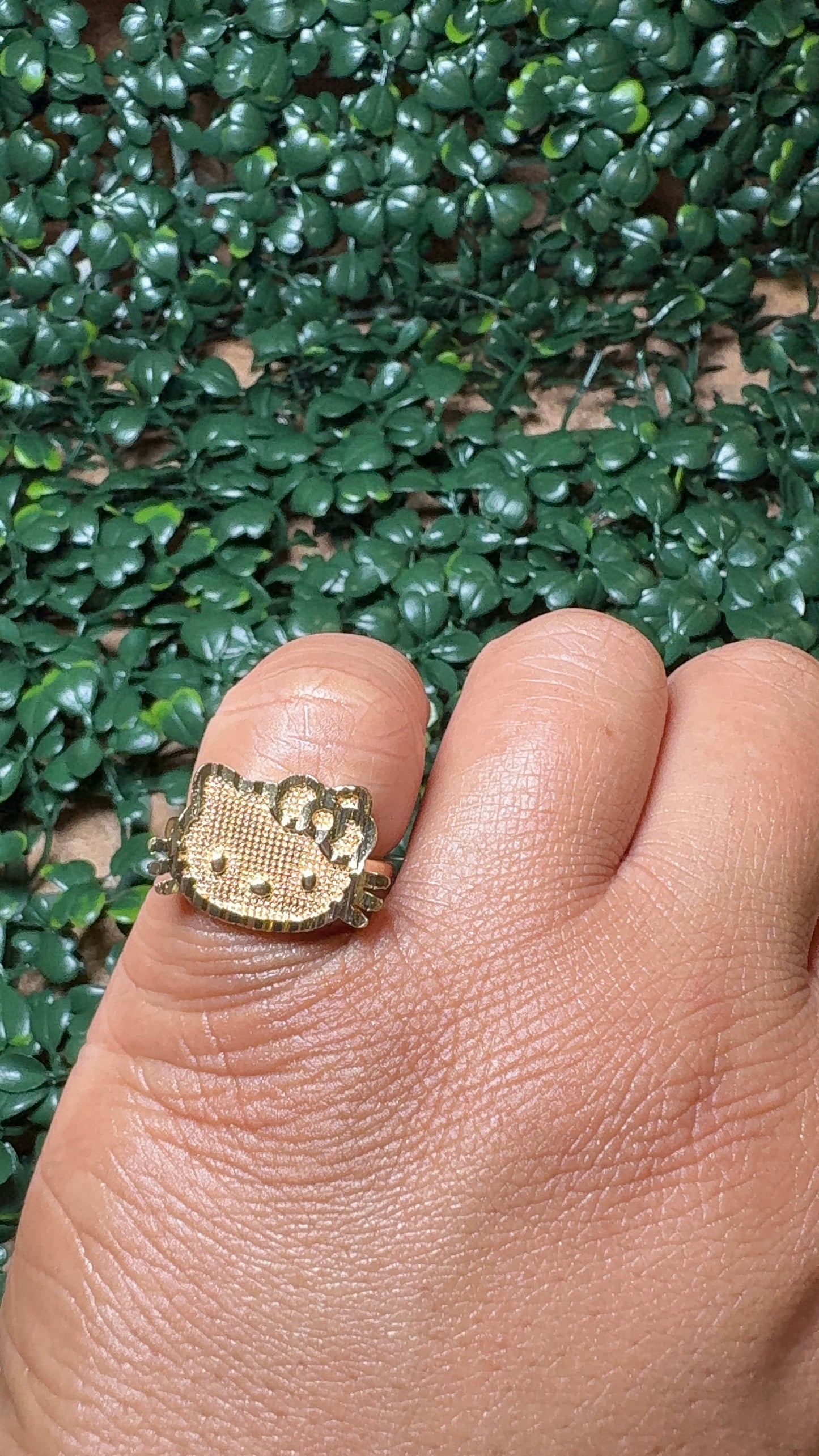 HK face ring